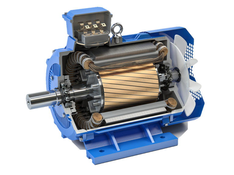 Moteur électrique en vue de coupe
